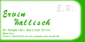 ervin wallisch business card